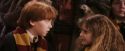 PF-Potterish_06907.jpg