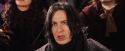 PF-Potterish_06930.jpg