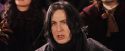PF-Potterish_06931.jpg