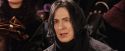 PF-Potterish_06951.jpg
