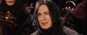 PF-Potterish_06952.jpg