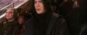 PF-Potterish_06974.jpg