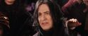 PF-Potterish_06980.jpg