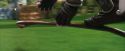 PF-Potterish_07056.jpg