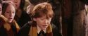 PF-Potterish_07083.jpg