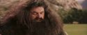 PF-Potterish_07085.jpg