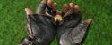 PF-Potterish_07092.jpg
