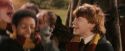 PF-Potterish_07102.jpg