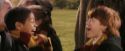 PF-Potterish_07103.jpg