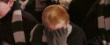PF-Potterish_07108.jpg