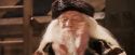 PF-Potterish_07120.jpg