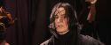 PF-Potterish_07125.jpg