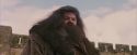 PF-Potterish_07182.jpg
