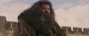 PF-Potterish_07183.jpg