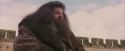 PF-Potterish_07185.jpg