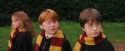 PF-Potterish_07190.jpg