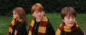 PF-Potterish_07191.jpg