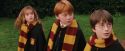 PF-Potterish_07192.jpg