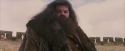PF-Potterish_07194.jpg