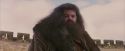 PF-Potterish_07195.jpg