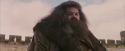 PF-Potterish_07197.jpg