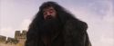 PF-Potterish_07209.jpg