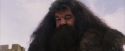 PF-Potterish_07216.jpg
