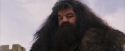 PF-Potterish_07217.jpg