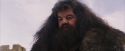 PF-Potterish_07226.jpg