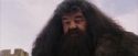 PF-Potterish_07229.jpg