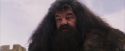 PF-Potterish_07232.jpg