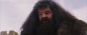 PF-Potterish_07234.jpg