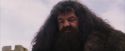 PF-Potterish_07240.jpg