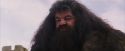 PF-Potterish_07241.jpg