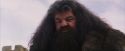 PF-Potterish_07243.jpg