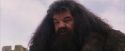PF-Potterish_07245.jpg