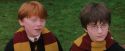PF-Potterish_07246.jpg