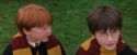 PF-Potterish_07247.jpg