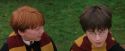 PF-Potterish_07248.jpg