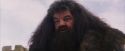 PF-Potterish_07249.jpg