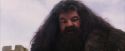PF-Potterish_07251.jpg