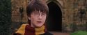 PF-Potterish_07258.jpg