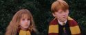 PF-Potterish_07261.jpg