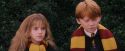 PF-Potterish_07262.jpg