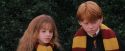 PF-Potterish_07266.jpg