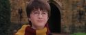 PF-Potterish_07268.jpg