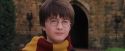 PF-Potterish_07269.jpg