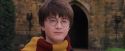 PF-Potterish_07270.jpg