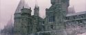 PF-Potterish_07272.jpg