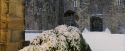 PF-Potterish_07282.jpg